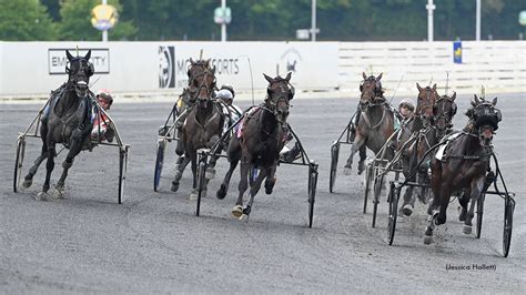 Livesport: Yonkers Harness 2024. Live results, final horse racing .